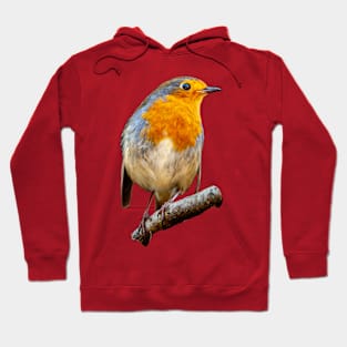 Robin Hoodie